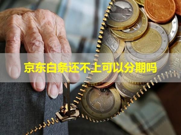 京东白条还不上可以分期