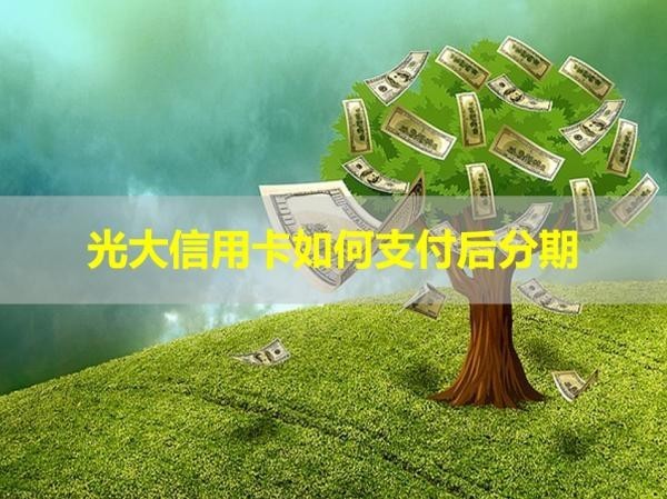 光大信用卡如何支付后分期