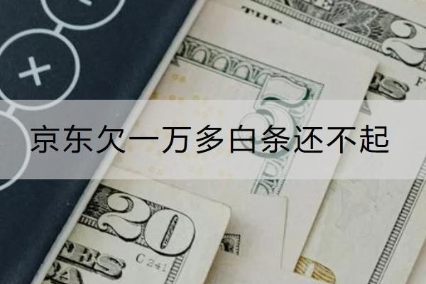 京东欠一万多白条还不起