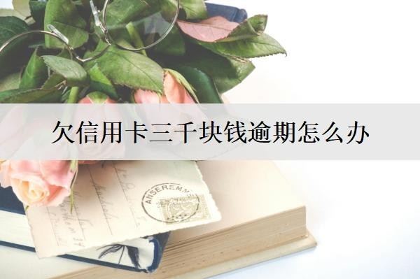 欠信用卡三千块钱逾期怎么办