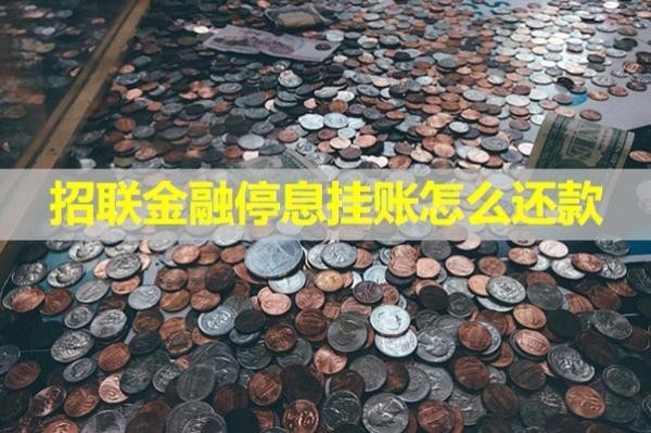 招联金融停息挂账怎么还款