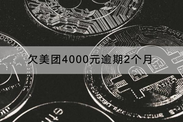 欠美团4000元逾期2个月