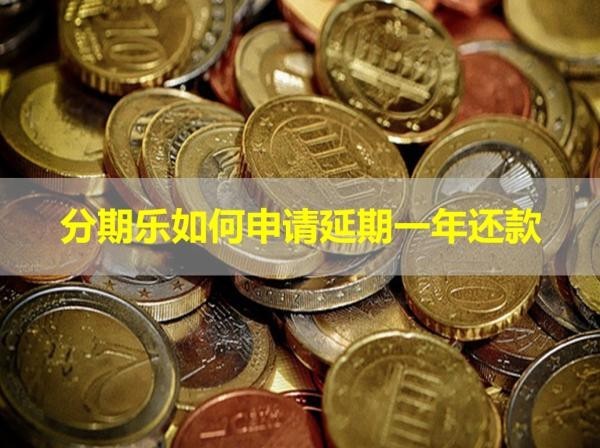 分期乐如何申请延期一年还款