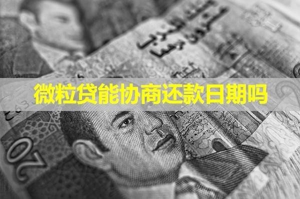 微粒贷能协商还款日期吗