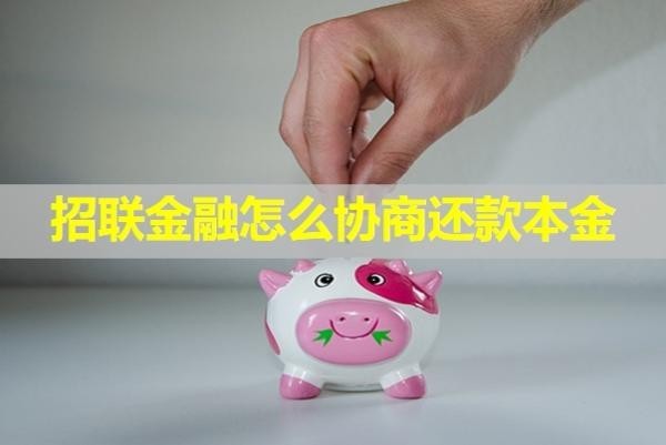 招联金融怎么协商还款本金