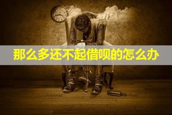 那么多还不起借呗的怎么办