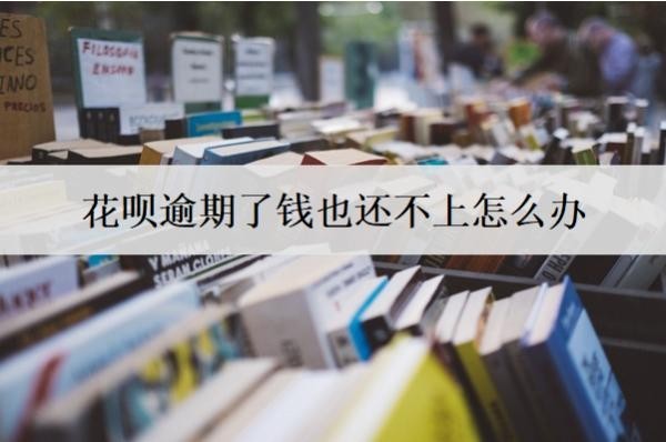 花呗逾期了钱也还不上怎么办