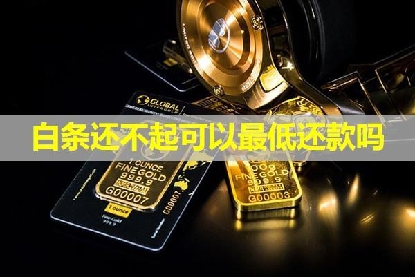 白条还不起可以最低还款吗