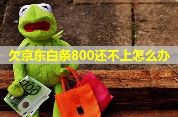 欠京东白条800还不上