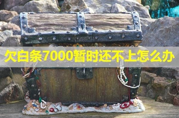 欠白条7000暂时还不上
