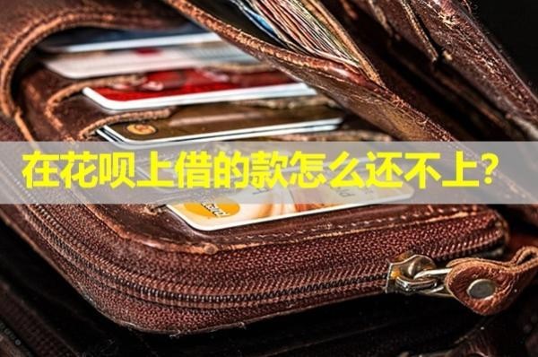 在花呗上借的款怎么还不上
