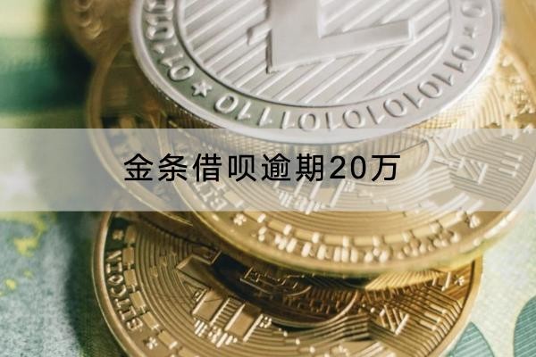 金条借呗逾期20万