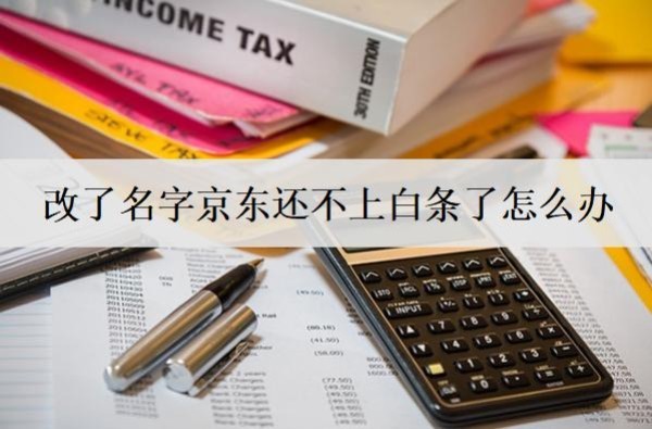 改了名字京东还不上白条