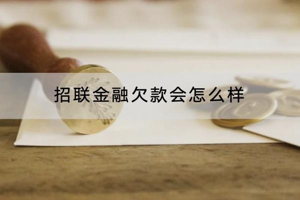 招联金融欠款会怎么样
