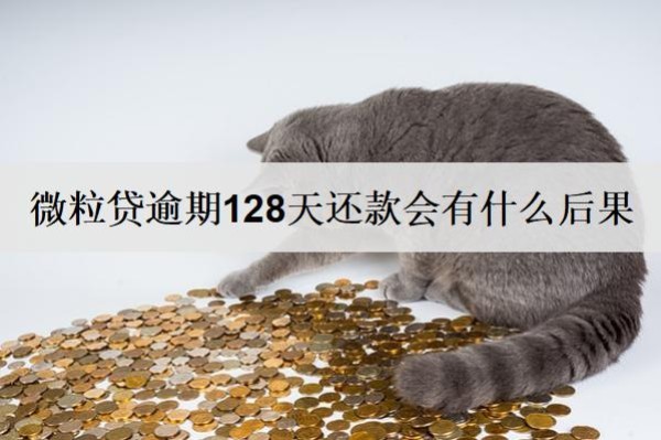 微粒贷逾期128天还款