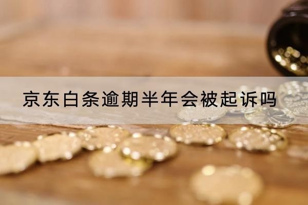 京东白条逾期半年会被起诉吗