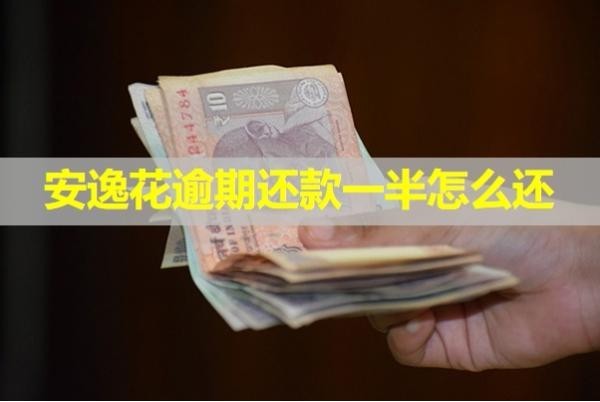 安逸花逾期还款一半怎么还