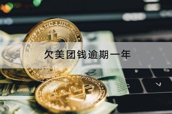 欠美团钱逾期一年