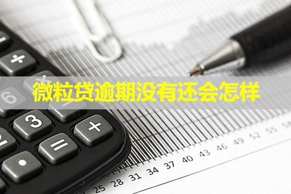微粒贷逾期没有还会怎样