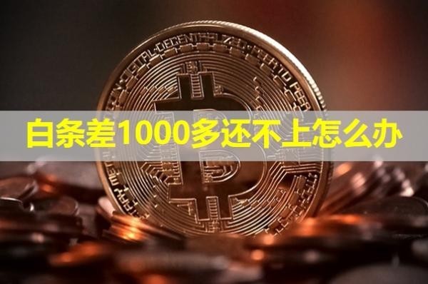 白条差1000多还不上怎么办？详细说明