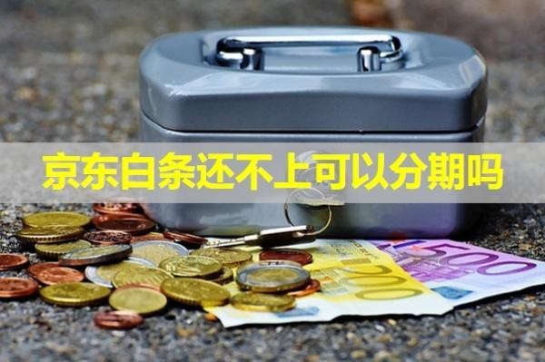 京东白条还不上