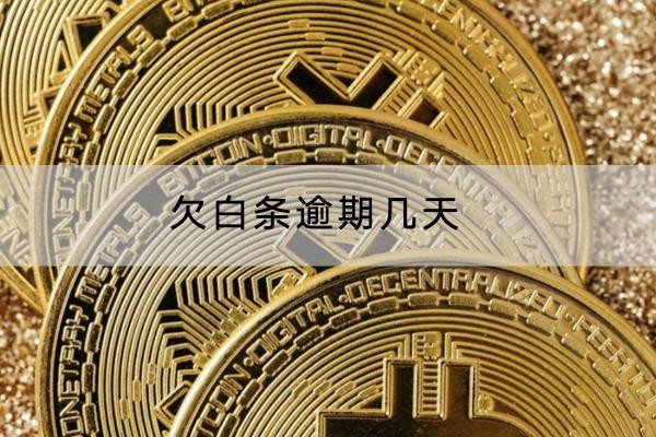 欠白条逾期几天