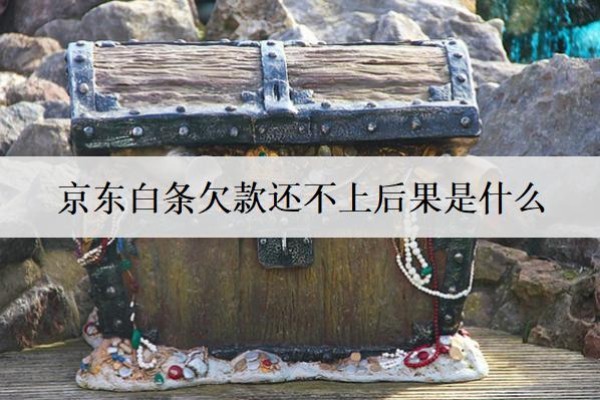 京东白条欠款还不上后果