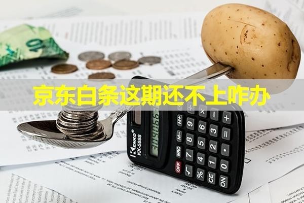 京东白条这期还不上咋办？详细内容