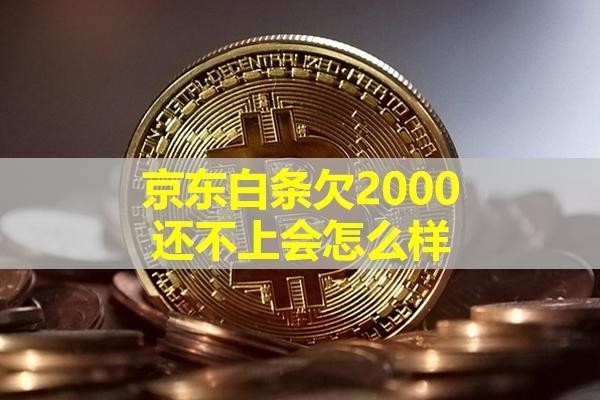 京东白条欠2000还不上