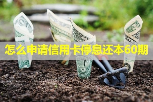 怎么申请信用卡停息还本60期