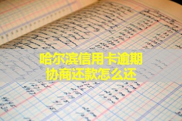 哈尔滨信用卡逾期协商还款怎么还