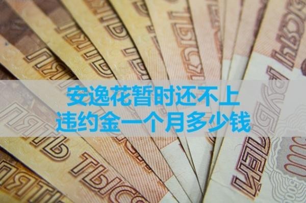 安逸花暂时还不上违约金一个月多少钱