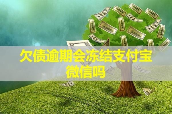 欠债逾期会冻结支付宝微信吗