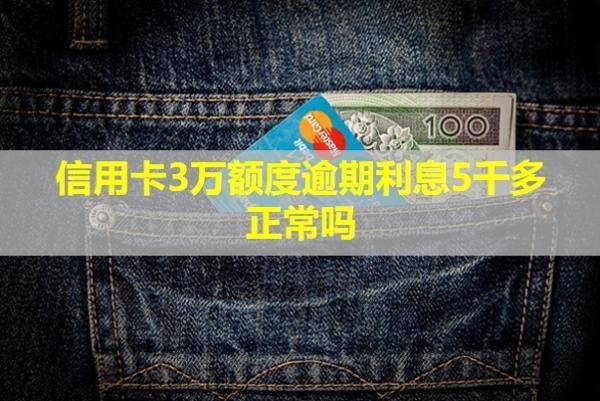 信用卡3万额度逾期利息5千