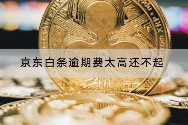 京东白条逾期费太高还不起