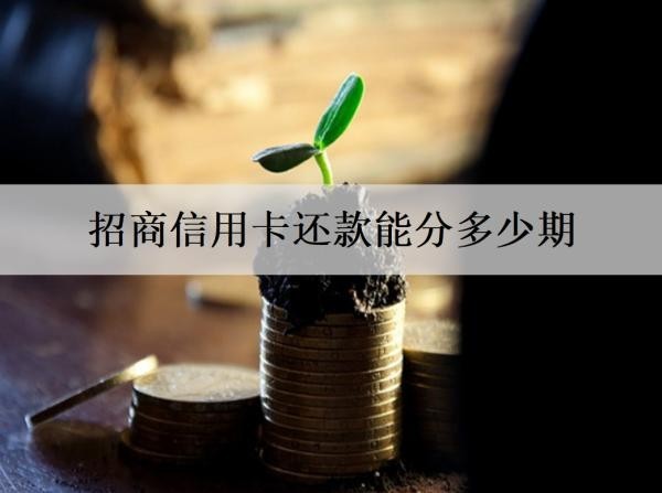 招商信用卡还款能分多少期
