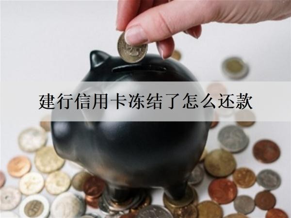 建行信用卡冻结了怎么还款