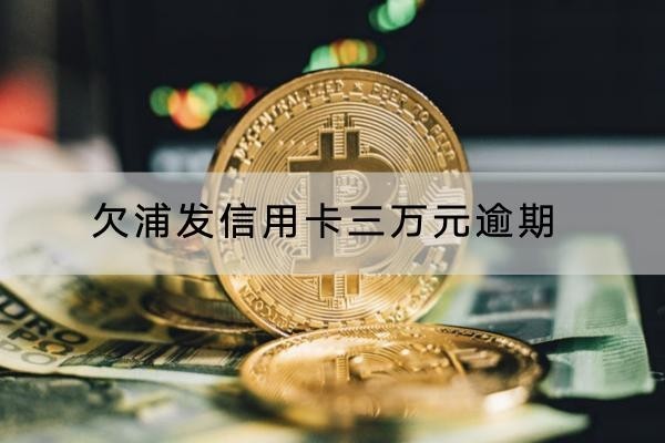 欠浦发信用卡三万元逾期
