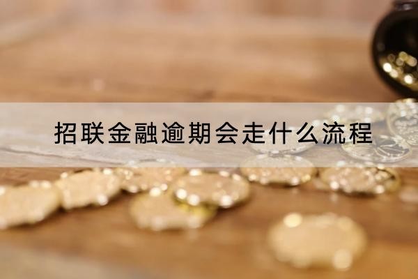 招联金融逾期会走什么流程