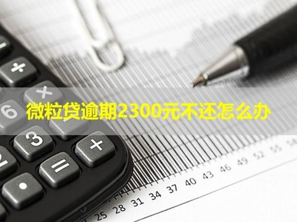 微粒贷逾期2300元不还