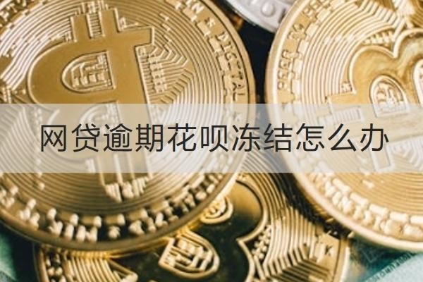 网贷逾期花呗冻结怎么办