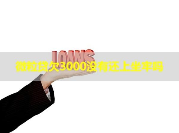 微粒贷欠3000没有还上