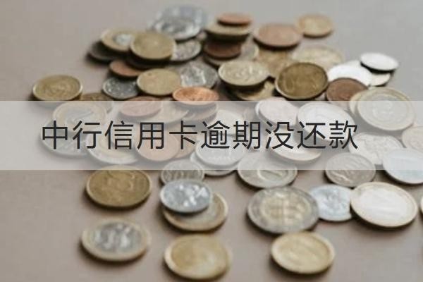中行信用卡逾期没还款