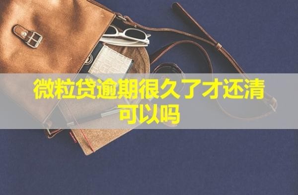 微粒贷逾期很久了才还清