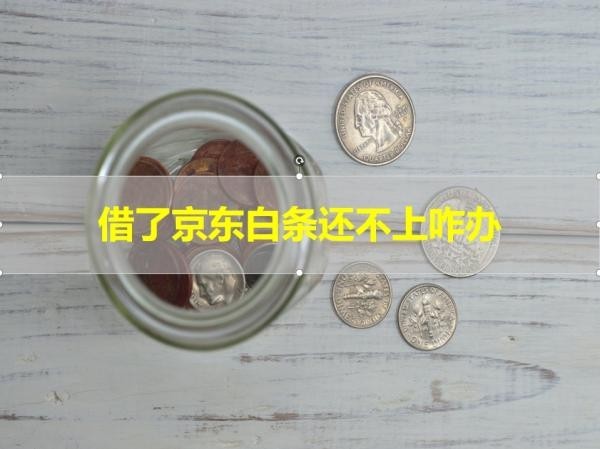 借了京东白条还不上咋办