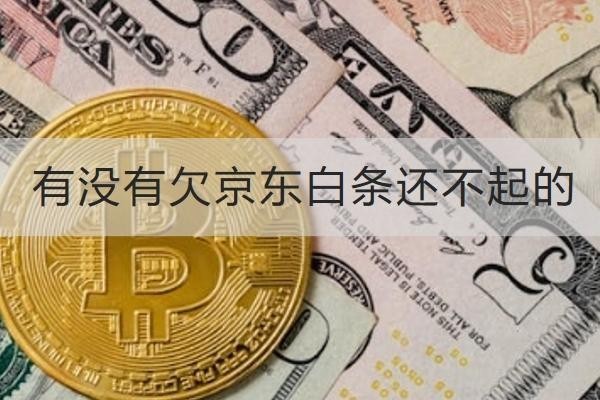 有没有欠京东白条还不起的