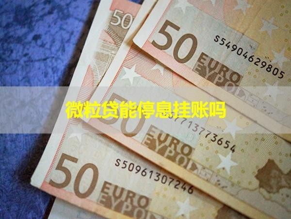 微粒贷能停息挂账吗