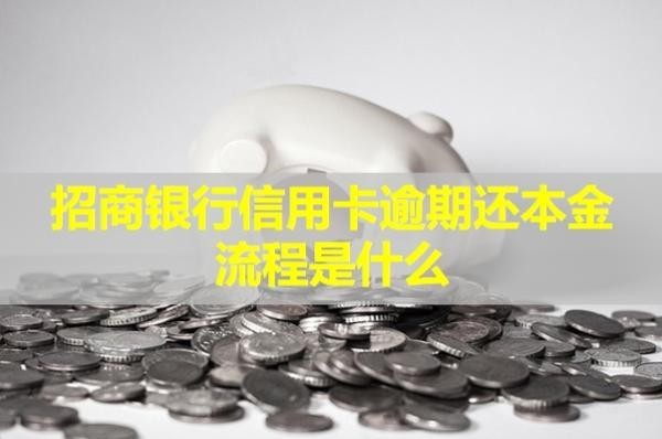 招商银行信用卡逾期还本