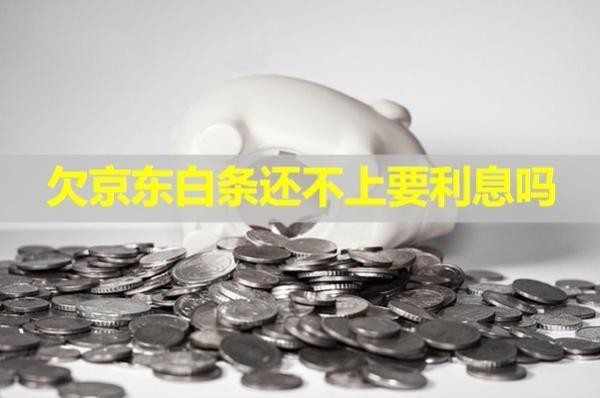 欠京东白条还不上要利息吗
