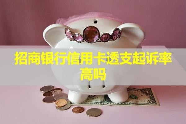 招商银行信用卡透支起诉